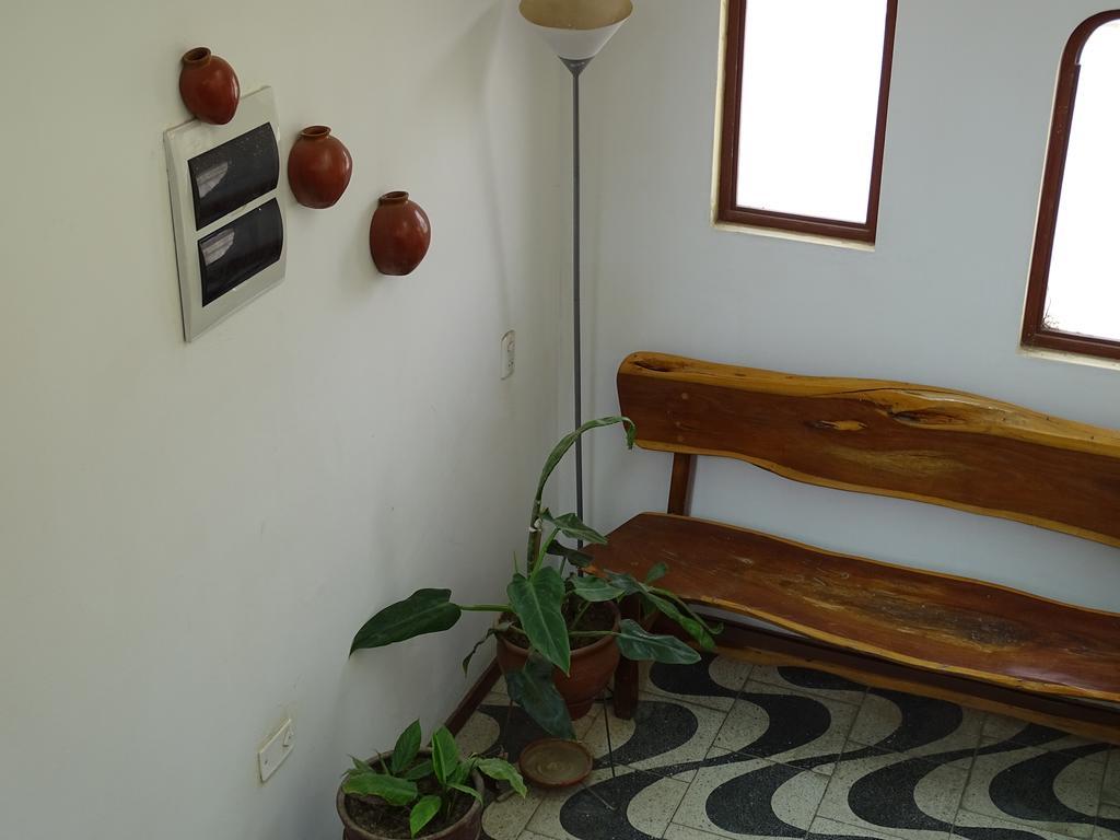 Anccalla Inn Guesthouse Nazca Ngoại thất bức ảnh